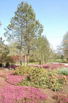 Nordpark in D�sseldorf. 6.4.2012