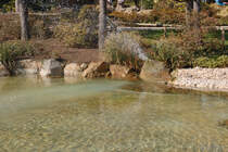 Wasserspeier im japanischen Garten in D�sseldorf am 6.4.2012
