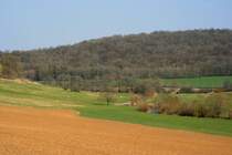 Das Val di Meuse in der Champagne; 25.03.2012