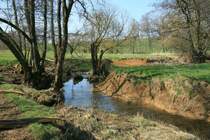 Im Verlauf der ersten 100-200 Km durchflie�t die Meuse eine ziemlich flache Landschaft mit lockerem Boden. Dadurch entstehen viele Prall- und Gleith�nge, die f�r die Flu�landschaft typisch sind. Meuse, 25.03.2012