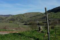 Kaiserstuhl, Blick zum Naturschutzgebiet am Badberg, M�rz 2012