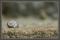 Zur�ckgezogen!
(23.04.2012)