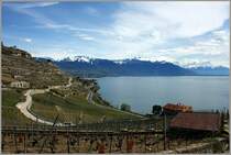 Kurz vor dem Wetterumschwung hatte man eine klare und weite Aussicht �ber den Genfersee, das Lavaux und die Waadtl�nder Berge.
(23.04.2012)