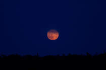 Nur fr kurze Zeit war der aufgehende Vollmond zusehen. - 04.06.2012