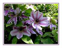 Ich versuche mit meinen Bildern auch Emotionen und Stimmungen zu visualisieren. Hier ein Beispiel f�r  Offenheit .