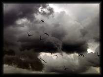 Ich versuche mit meinen Bildern auch Emotionen und Stimmungen zu visualisieren. Hier ein Beispiel f�r  St�rmische Zeiten .