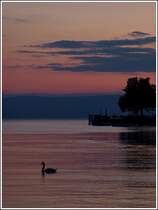 Abendstimmung in Vevey. 28.05.2012 (Jeanny)