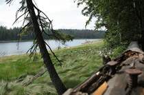 Der Oderteich im Nationalpark Harz; Aufnahme am Nachmittag des 30.06.2012 vom Rundwanderweg am Ostufer des Stausees.
