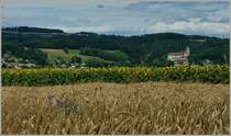 Ein kleines Strsschen bergauf bietet einen schnen Ausblick ber Korn-und Sonnenblumenfeld sowie das Schloss Lucens(13.Jahrhundert).
Das Schloss hat im Laufe der Jahrhunderte viel erlebt, wechselte mehrfach den Besitzer,und ist heute in Privatbesitz. 
(12.07.2012)