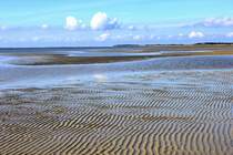 Der Strand von Goting auf Fhr bei Ebbe am 16.09.2009