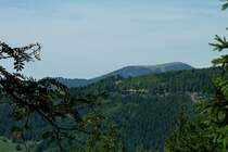 Blick vom Hasenhorn zum 1414m hohen Belchen im S�dschwarzwald, Aug.2012