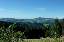 Blick zum 1241m hohen Kandel im mittleren Schwarzwald, Aug.2012