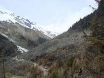 Waldbrandst�ck oberhalb Arbaz (Wallis). Ca. 40 HA Wald sind wegen eines ausser Kontrolle geratenen Grillfeuers abgebrannt.18.04.2007