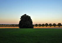 Baum, Strohballen, Wiese und Baumreihe kurz vor Sonnenuntergang - 18.08.2012