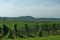 Kaiserstuhl, Blick �ber die Weinberge auf den Ort Jechtingen, Sept.2012 