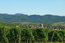 Blick vom Batzenberg auf den Weinort Kirchhofen im Markgr�flerland, im Hintergrund der Schwarzwald, Sept.2012