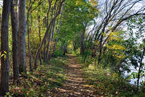 Uferwaldweg am Zlpicher See - 22.10.2012