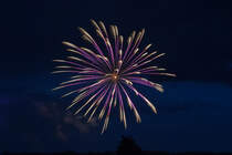 Feuerwerk der Stadt Torgelow zum Abschluss der Festtage im Juli 2010.
