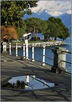 Weitblick �ber die eigenen Grenzen ...
(20.03.2013)