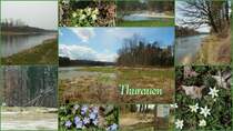 Thurauen / Fr�hlingsimpressionen 2013 (16.04.2013)