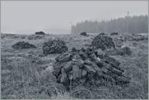 Der n�chste Winter kommt bestimmt - ein Torffeld zwischen Letterfrack und Leeane.
22. April 2013