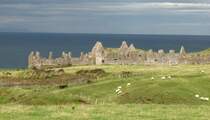 Ein malerischer Blick auf die Ruine des Dunluce Castle.
(September 2007)