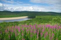 Karasjokka Fluss an der Grenz zu Finnland (04.07.2013)