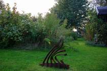 In der Abendstimmung im Garten.
Augenommen in Kohlscheid-Bank am 24.9.2013.