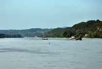 Rheinlandschaft von Bad Breisig in Richtung Linz - 27.08.2013