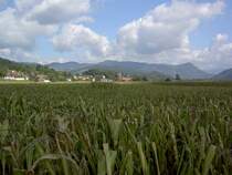 Unteres Gurktal bei St. Thomas / Magdalenensberg (02.10.2013)