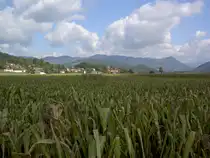 Unteres Gurktal bei St. Thomas / Magdalenensberg (02.10.2013)