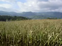 Ausblick vom Karlsberg bei St. Veit an der Glan (02.10.2013)