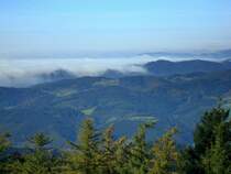 Blick vom 945m hohen Brandenkopf im mittleren Schwarzwald, die Herbstnebel aus der Rheinebene flie�en in die Schwarzwaldt�ler, Okt.2010