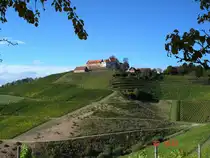 Burg Staufenberg in der Ortenau, Okt.2004