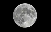 18.10.2013 war der Mond zu 100% beleuchtet und 387.587 km von der Erde entfernt (laut Mondphasen App). Leider blieb der Vollmond den Abend �ber verschleiert.