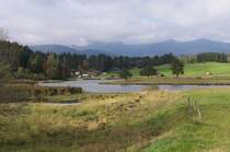 Der Schmalensee ist ein See bei Mittenwald. Er ist ungef�hr sieben Hektar gro� und an der tiefsten Stelle nur 2,5 Meter tief. Der See ist in Privatbesitz und von vielen Fischarten besiedelt.

Der See liegt direkt an der Staatsstra�e zwischen Mittenwald und Klais an den Buckelwiesen. Er ist auch von der Bahnstrecke von Garmisch-Partenkirchen nach Mittenwald zu sehen.
07.10.2013