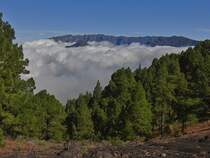 Blick von der Flanke des Pico Birigoyo auf die Bergumrahmung der Caldera de Taburiente. Aus den Wolken ragt der 1857 m hohe Pico Bejenado. La Palma, September 2013.