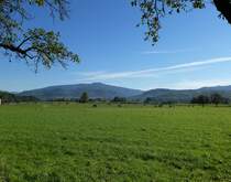 Blick aus der Rheinebene bei V�rstetten zum 1241m hohen Kandel im Schwarzwald, Okt.2013
