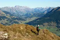 Beim Abstieg vom Le Chamossaire; 19.10.2013