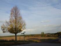 Herbsttag 17.10.13 in Bad Belzig (Rosa-Luxemburg-Str.)