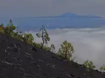 Aussicht vom Hang des Volc�n Mart�n auf die wolkenverhangene Ostseite von La Palma sowie die im Hintergrund liegende Insel Teneriffa mit dem 3718 m hohe Pico del Teide (Oktober 2013).