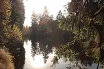 Im Gegenlicht der Nachmittagssonne: Herbstbunter Mischwald und kleine Staumauer des Silberteichs bei Braunlage am 22.10.2013...