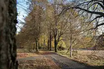 Die sch�ne Allee hinter dem Rathaus in Braunlage in buntem Herbstlaub; Aufnahme vom sp�ten Nachmittag des 22.10.2013...