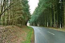 Landstra�e aus Thalfang raus