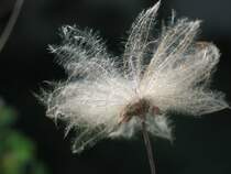 Nat�rliche Architektur