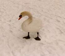 Winter 199_ in Rheinhausen -  jetzt bekomm ich doch so langsam kalte F��e 