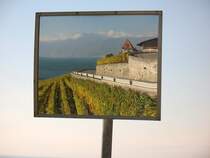 Die Weinberge am Genfersee als Spiegelbild.
(Oktober 2007)