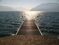 Herbstimpressionen am Genfersee.
(Oktober 2007)