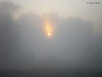 Der Planet sucht sich den Weg 01.11.2007