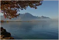 Herbststimmung am Genfersee
(01.11.2014) 